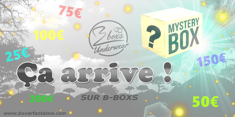 Boite mystere de chez BoxerFantaisie