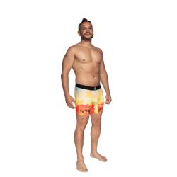  Boxer Wave Hawaii Motif Geométrie|D13