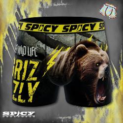 Boxer Spicy |motif Grizzly | &#127810;