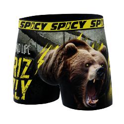 Boxer Spicy |motif Grizzly | &#127810;