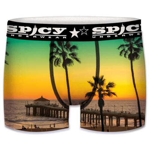 Boxer Spicy |motif Paradise | &#127796;