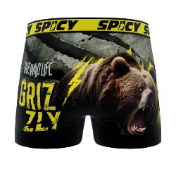 Boxer Spicy |motif Grizzly | &#127810;