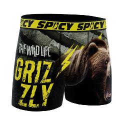 Boxer Spicy |motif Grizzly | &#127810;