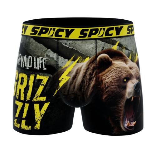 Boxer Spicy |motif Grizzly | &#127810;